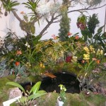Výstava orchidejí v Jihočeském muzeu