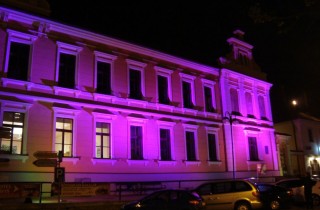 Růžová radnice v Hluboké nad Vltavou